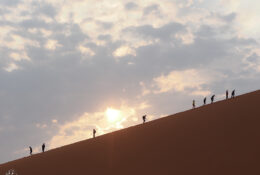 Namibia_August (67/135)